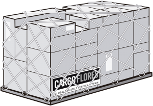 Containers – Cargo Flores